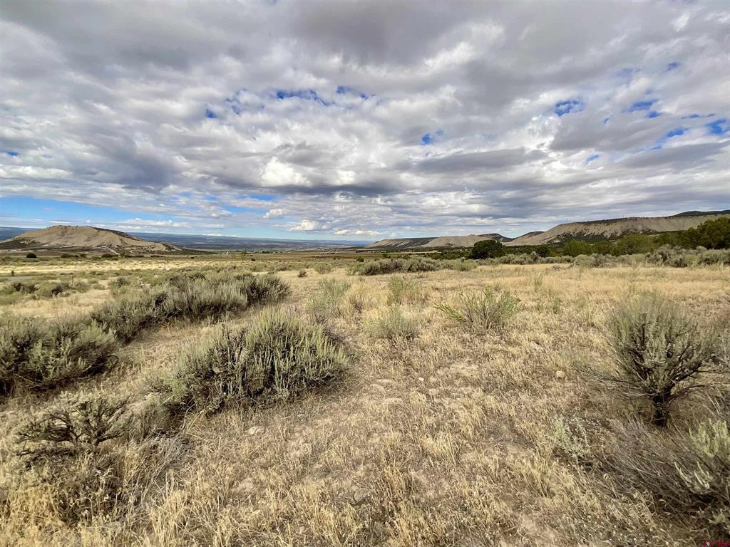 Tbd Lot 22 7250 Road Montrose CO 81403