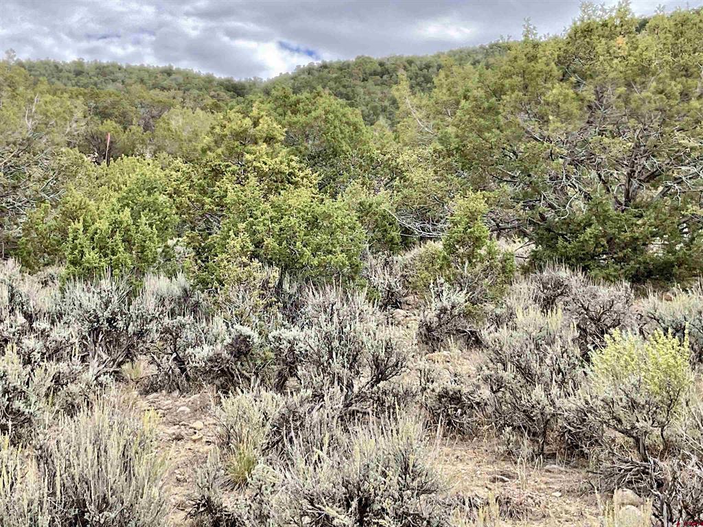 Tbd Lot 22 7250 Road Montrose CO 81403