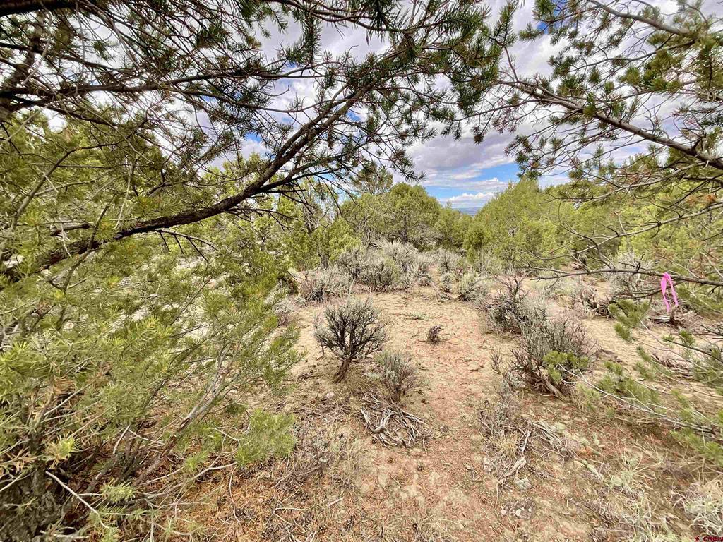 Tbd Lot 22 7250 Road Montrose CO 81403