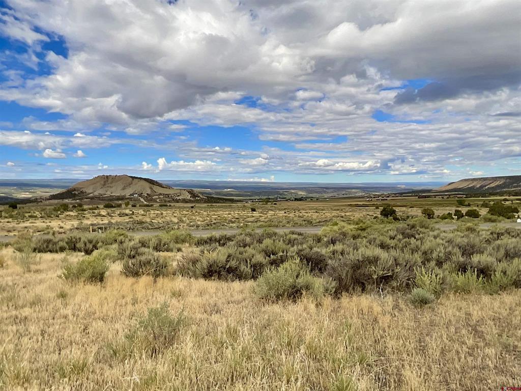 Tbd Lot 22 7250 Road Montrose CO 81403