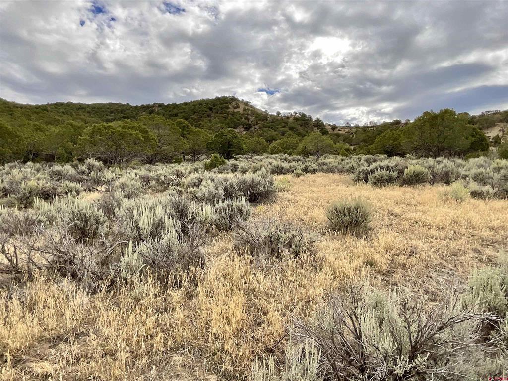 Tbd Lot 22 7250 Road Montrose CO 81403