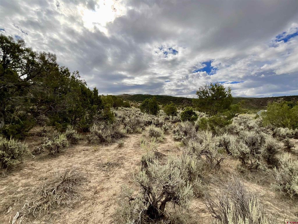 Tbd Lot 22 7250 Road Montrose CO 81403