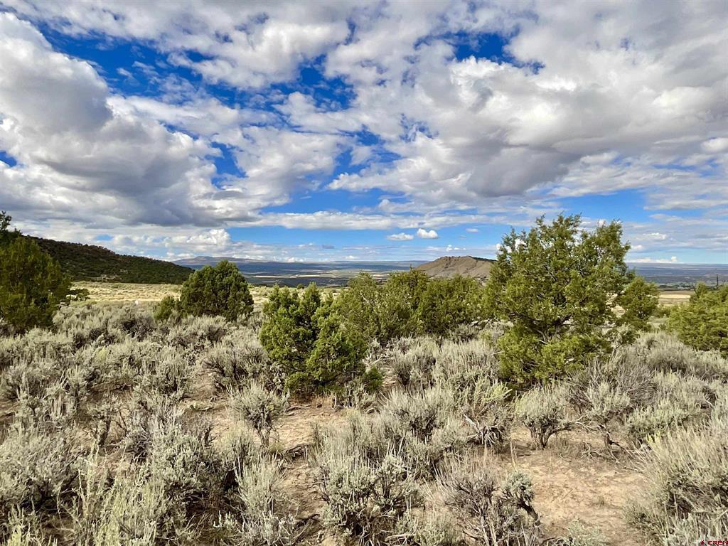 Tbd Lot 22 7250 Road Montrose CO 81403