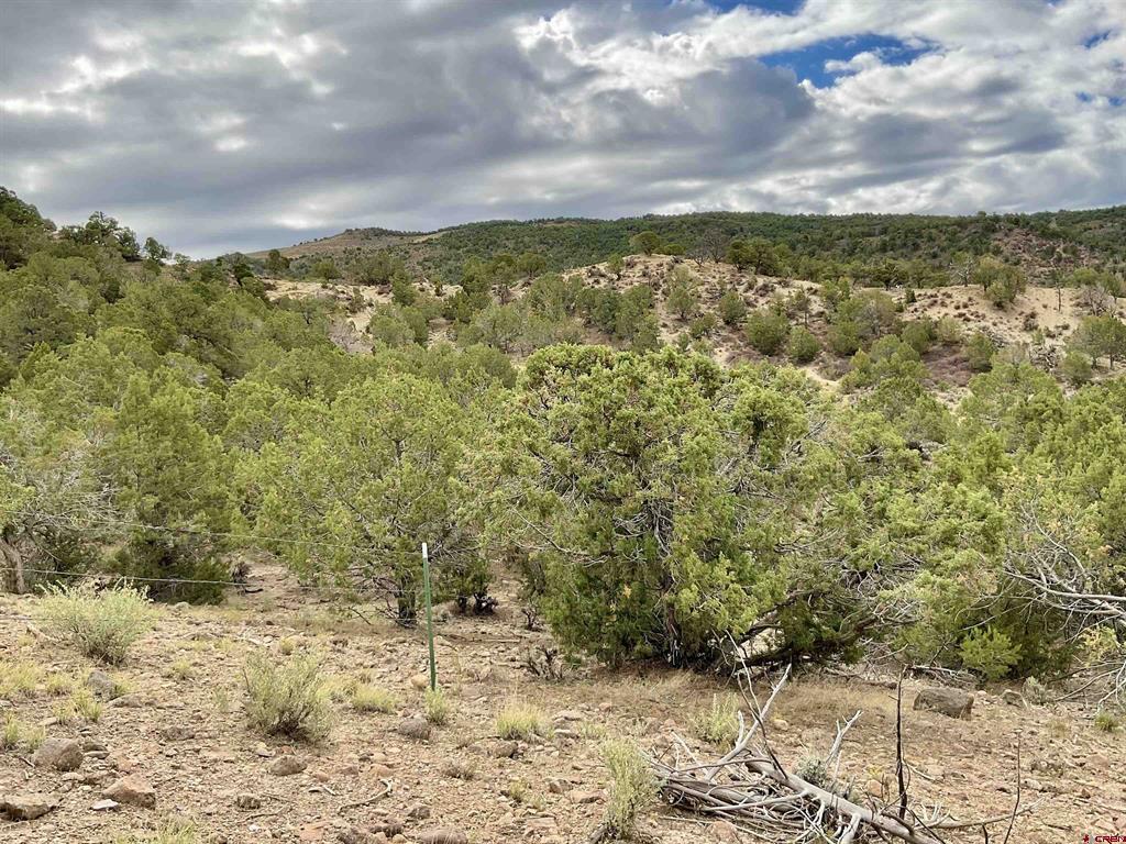 Tbd Lot 22 7250 Road Montrose CO 81403