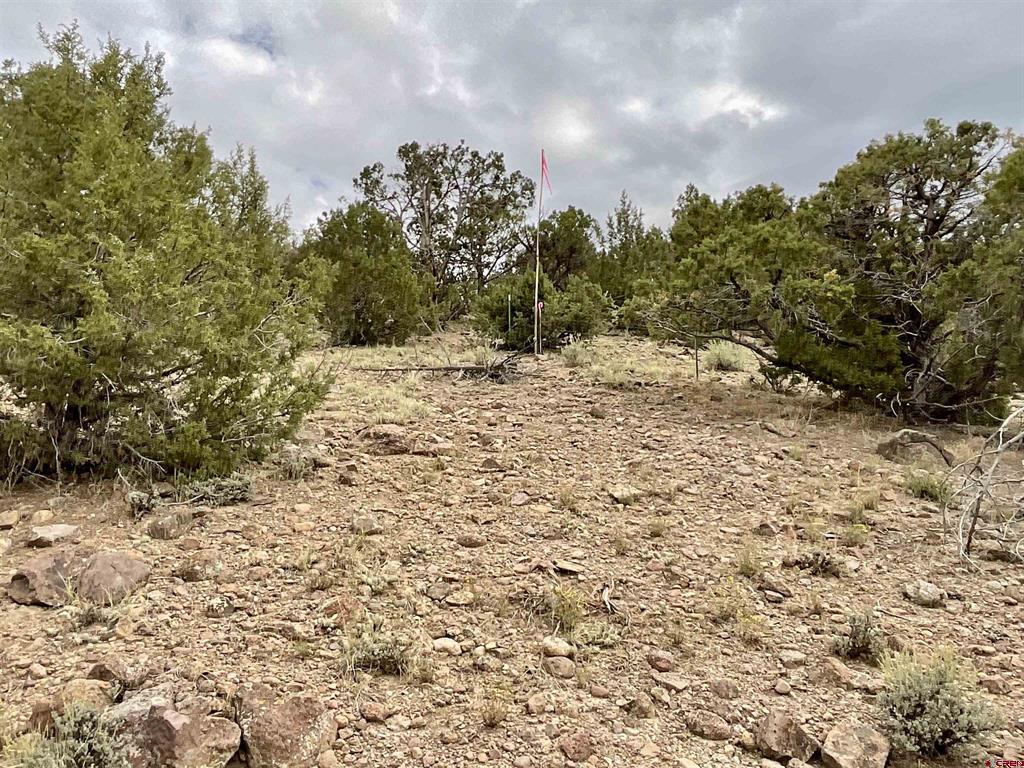 Tbd Lot 22 7250 Road Montrose CO 81403