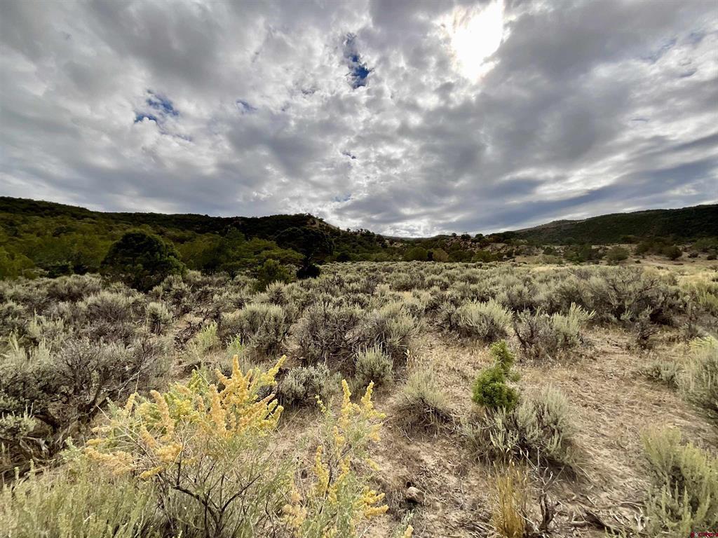 Tbd Lot 22 7250 Road Montrose CO 81403