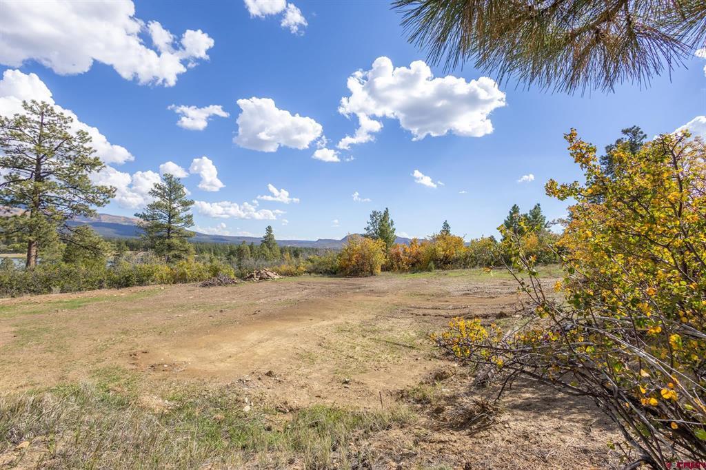 13100 Road 41.9 Mancos CO 81328