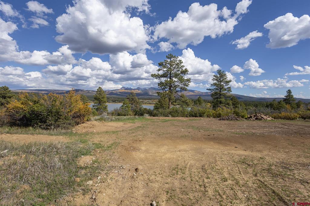 13100 Road 41.9 Mancos CO 81328