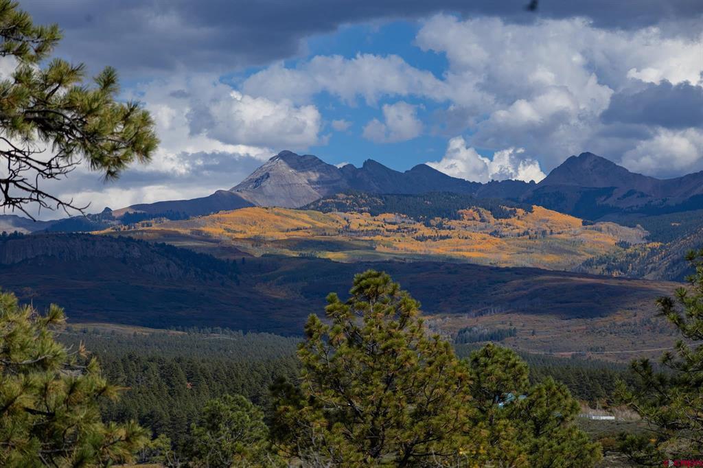 13100 Road 41.9 Mancos CO 81328