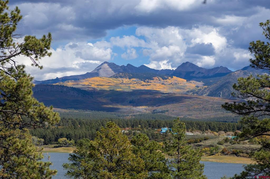 13100 Road 41.9 Mancos CO 81328
