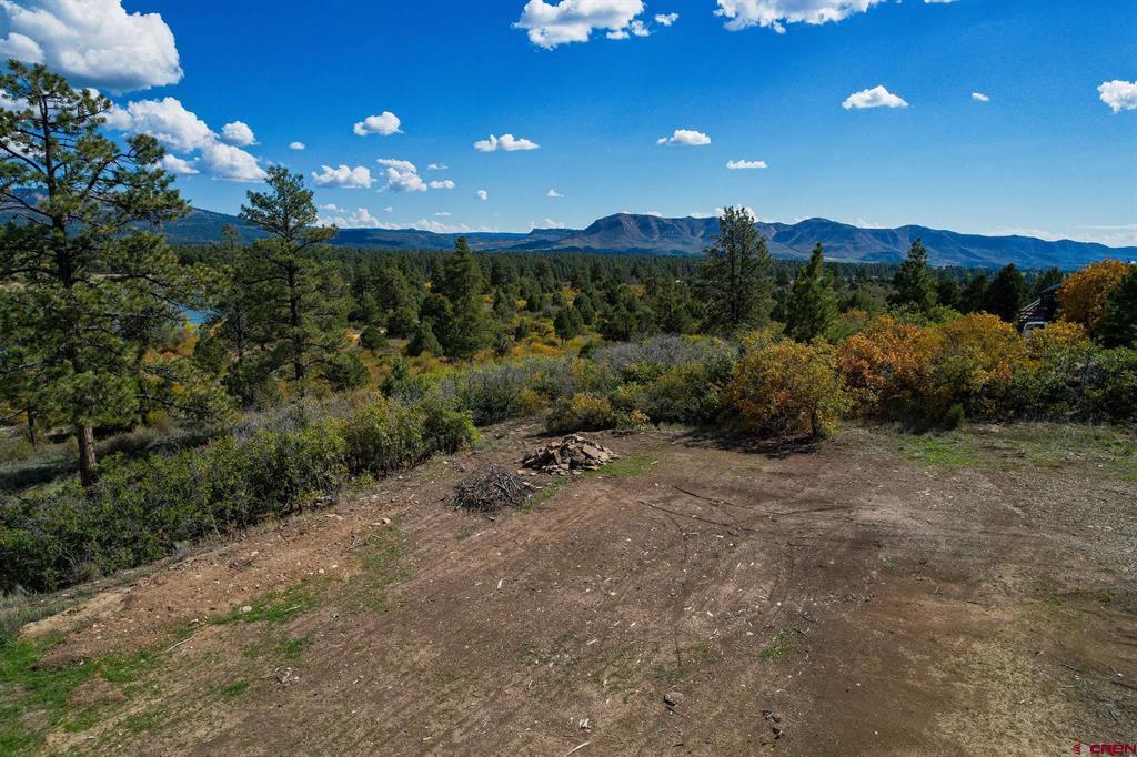 13100 Road 41.9 Mancos CO 81328