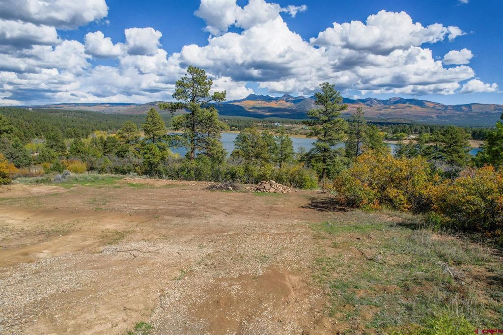 13100 Road 41.9 Mancos CO 81328