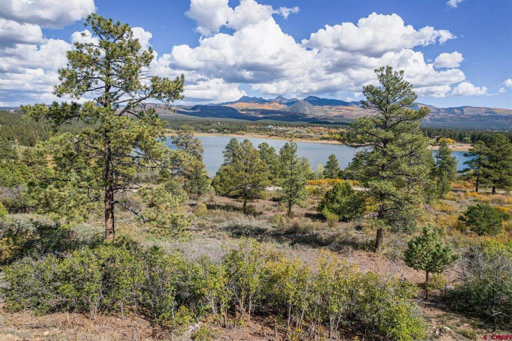 13100 Road 41.9 Mancos CO 81328