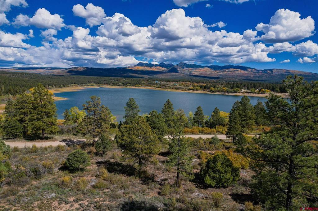 13100 Road 41.9 Mancos CO 81328