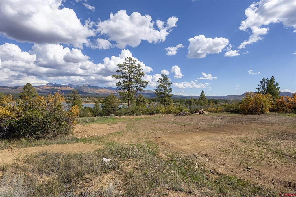 13100 Road 41.9 Mancos CO 81328