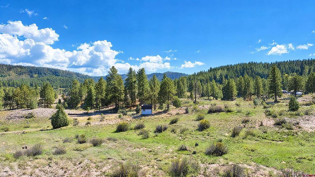 185 Kristina Court Pagosa Springs CO 81147