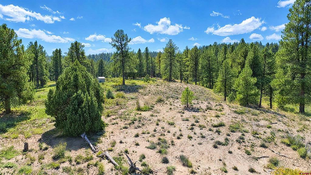 185 Kristina Court Pagosa Springs CO 81147
