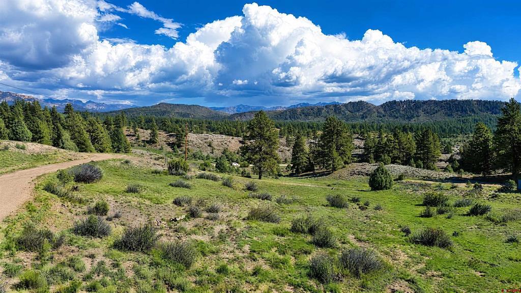 185 Kristina Court Pagosa Springs CO 81147