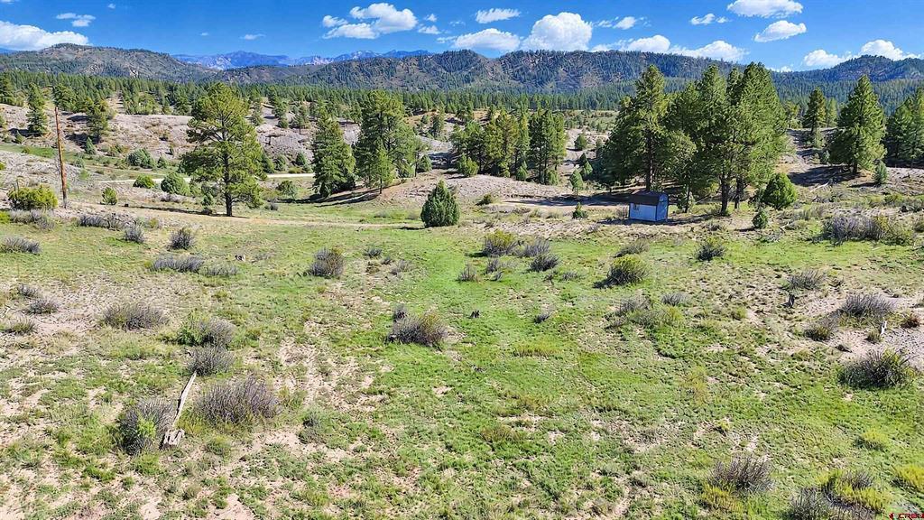 185 Kristina Court Pagosa Springs CO 81147