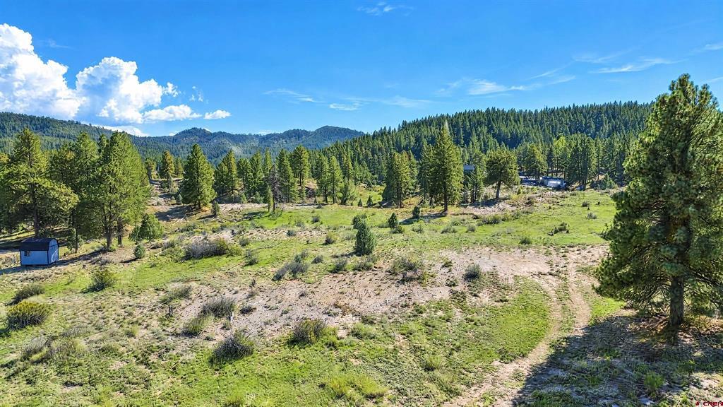 185 Kristina Court Pagosa Springs CO 81147