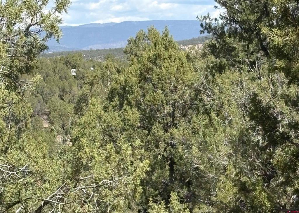 150 Deer Park Arboles CO 81121