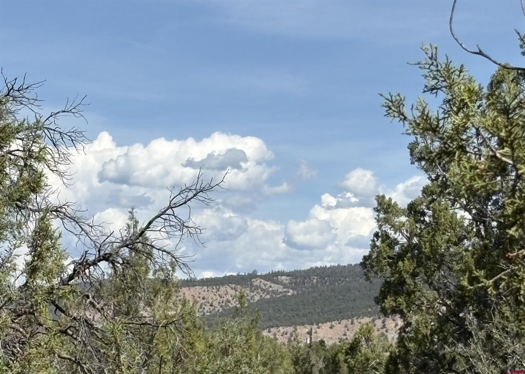 150 Deer Park Arboles CO 81121