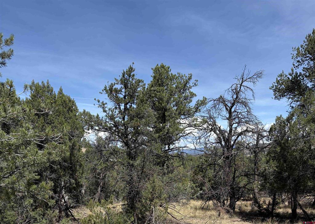 150 Deer Park Arboles CO 81121