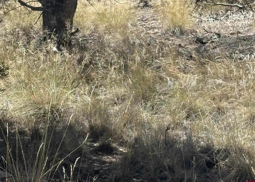 150 Deer Park Arboles CO 81121