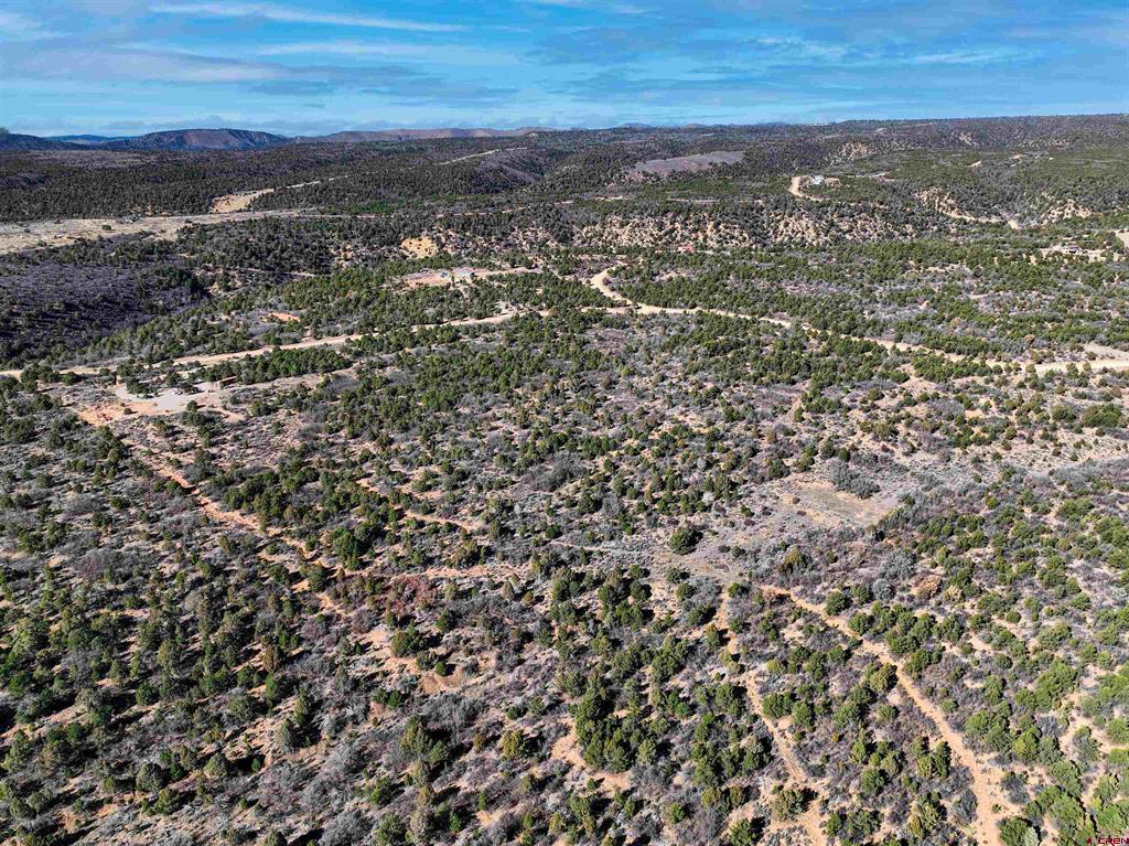 1657 De Oro Way Hesperus CO 81326