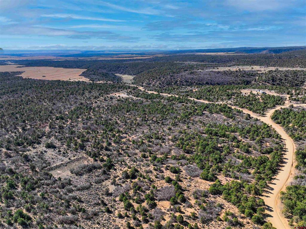 1657 De Oro Way Hesperus CO 81326