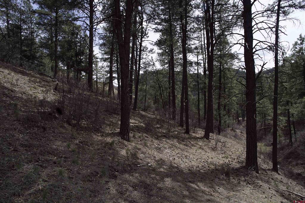 91 Hideaway Court Pagosa Springs CO 81147