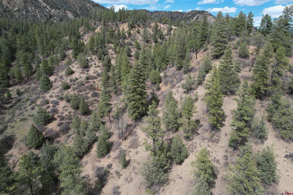 91 Hideaway Court Pagosa Springs CO 81147