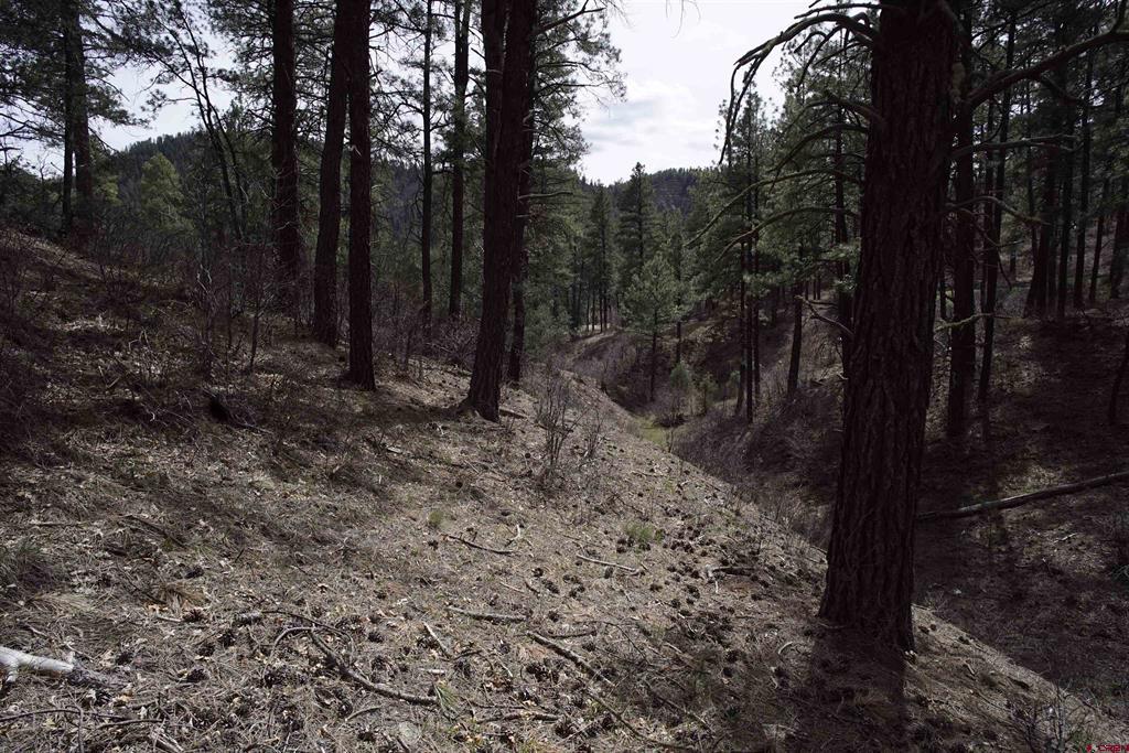 91 Hideaway Court Pagosa Springs CO 81147