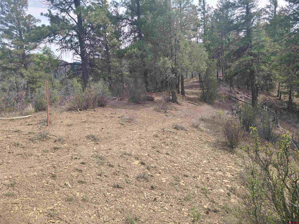 91 Hideaway Court Pagosa Springs CO 81147
