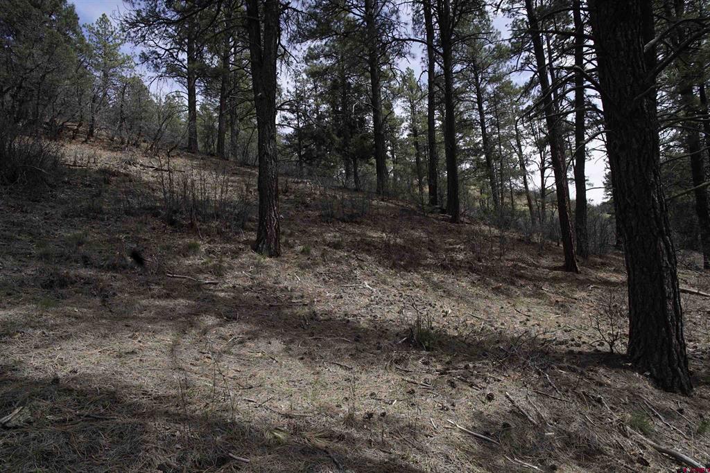 91 Hideaway Court Pagosa Springs CO 81147