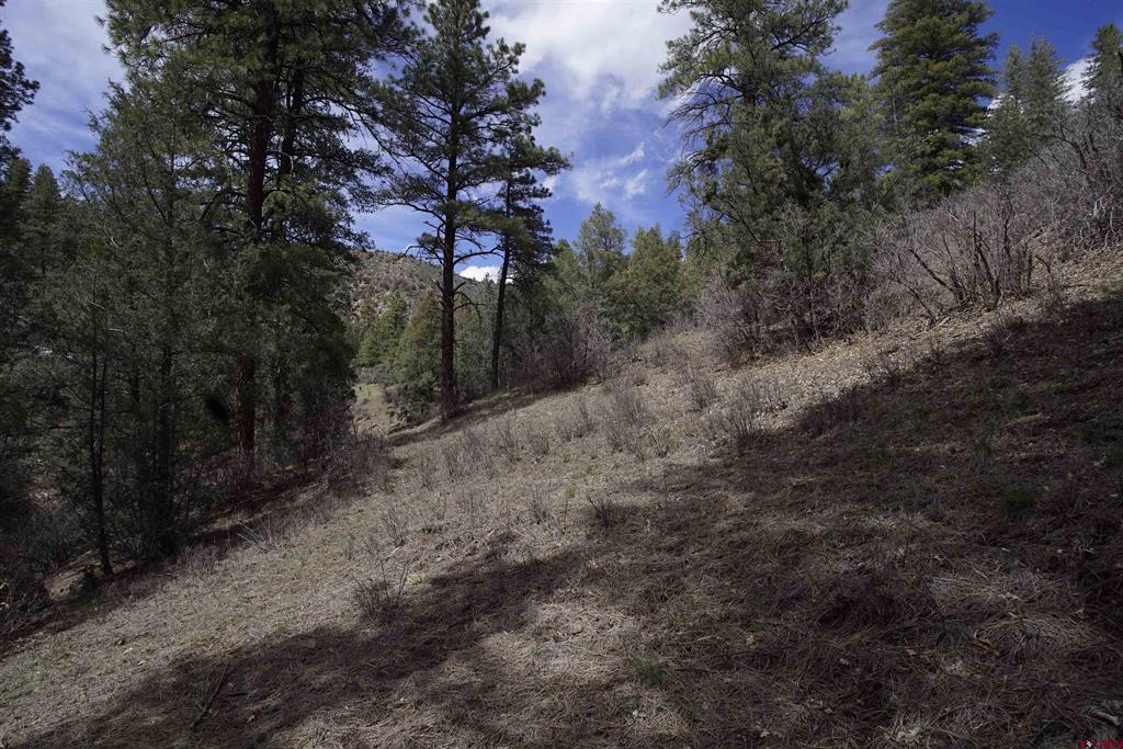 91 Hideaway Court Pagosa Springs CO 81147