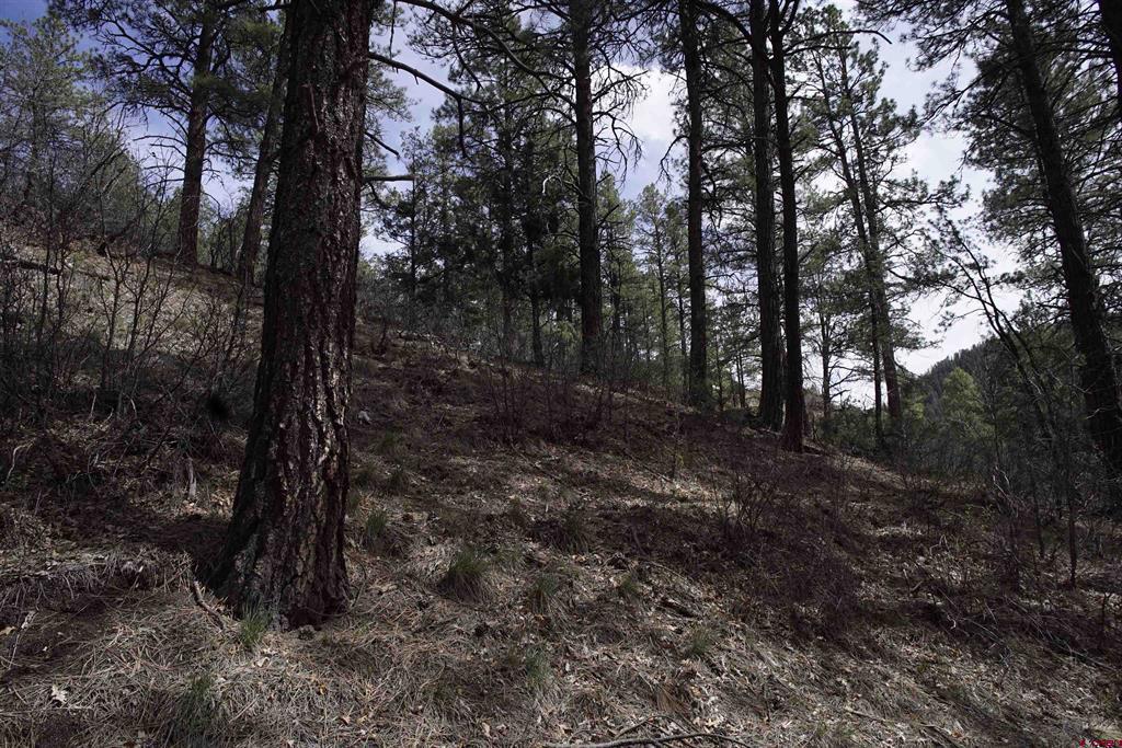 91 Hideaway Court Pagosa Springs CO 81147