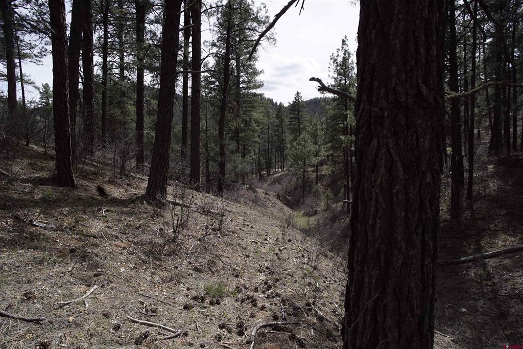 91 Hideaway Court Pagosa Springs CO 81147