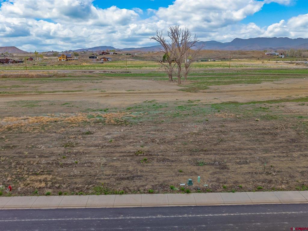 Tbd Lot 19 Apple Grove Street Montrose CO 81401