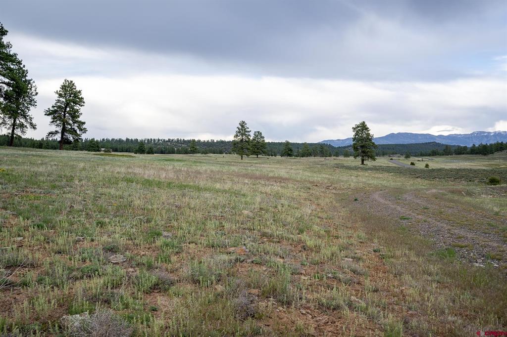 2615 Echo Canyon Ranch Lane Pagosa Springs CO 81147