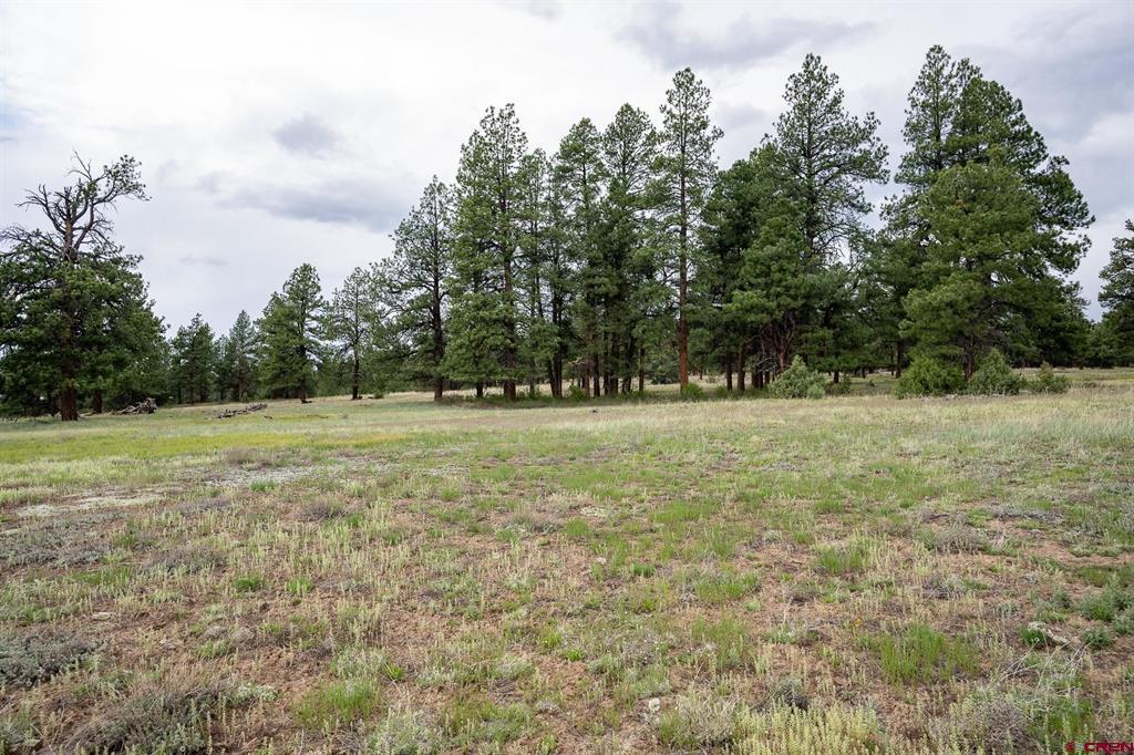 2615 Echo Canyon Ranch Lane Pagosa Springs CO 81147