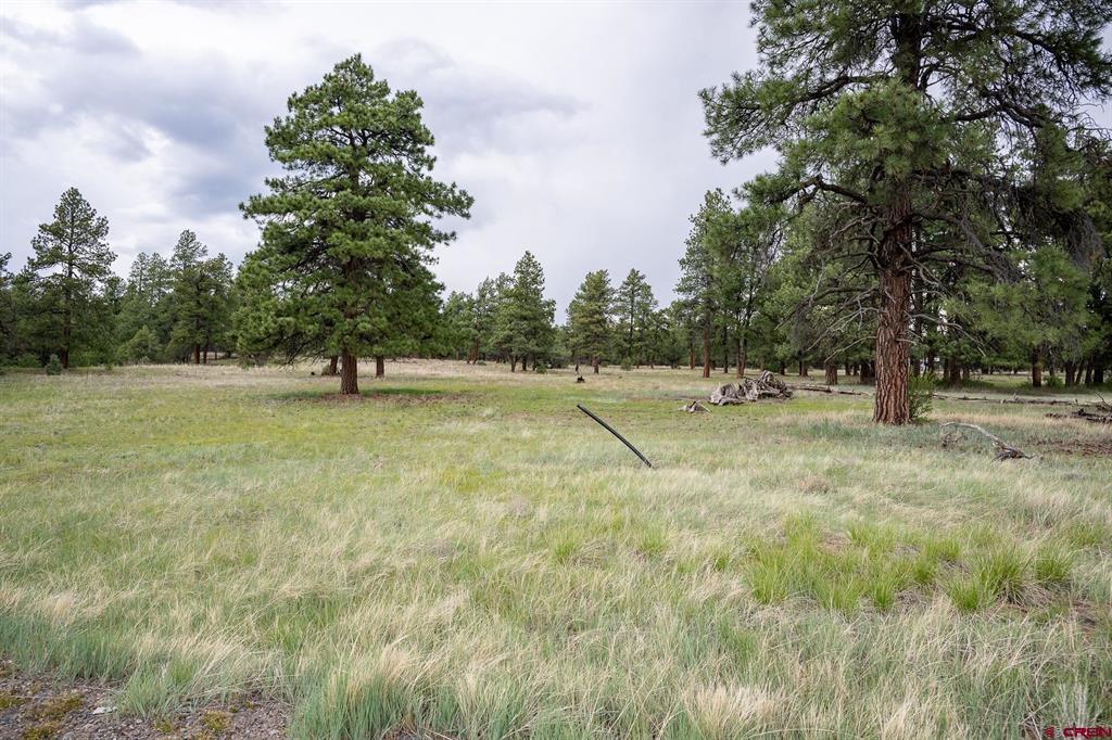 2615 Echo Canyon Ranch Lane Pagosa Springs CO 81147