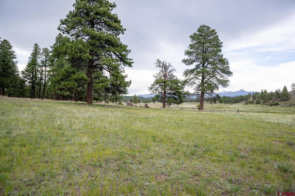 2615 Echo Canyon Ranch Lane Pagosa Springs CO 81147