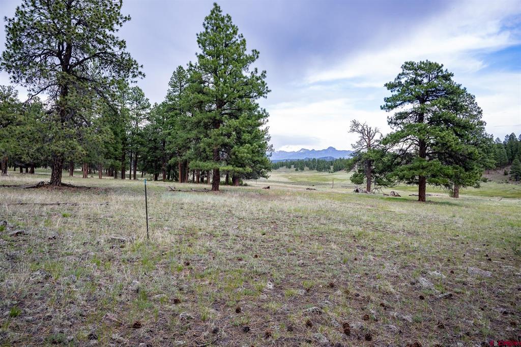 2615 Echo Canyon Ranch Lane Pagosa Springs CO 81147