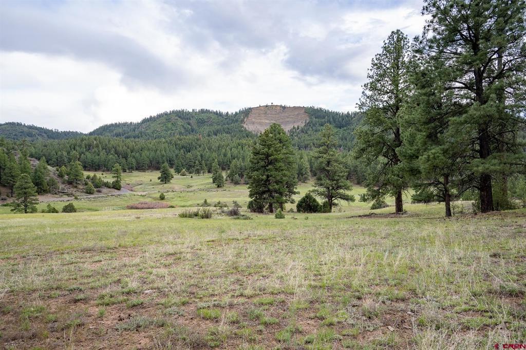 2615 Echo Canyon Ranch Lane Pagosa Springs CO 81147