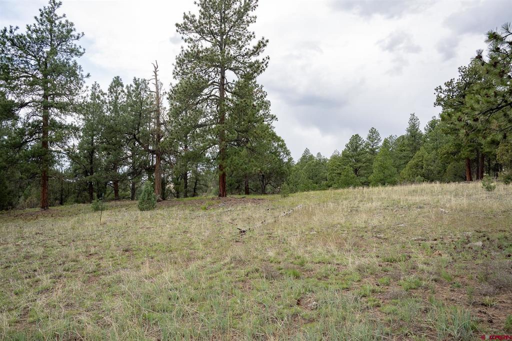 2615 Echo Canyon Ranch Lane Pagosa Springs CO 81147