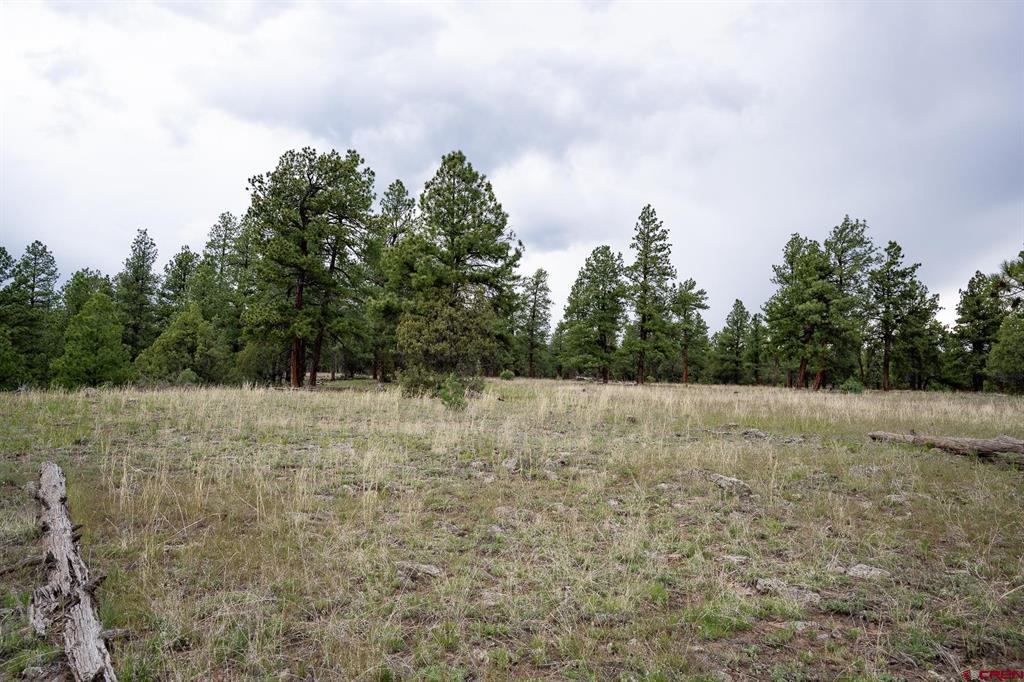 2615 Echo Canyon Ranch Lane Pagosa Springs CO 81147