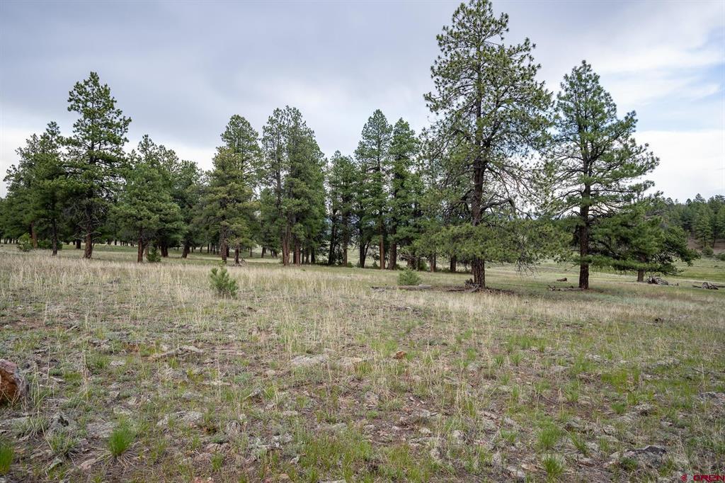 2615 Echo Canyon Ranch Lane Pagosa Springs CO 81147