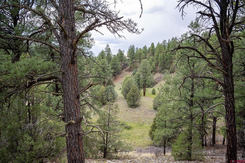 2615 Echo Canyon Ranch Lane Pagosa Springs CO 81147