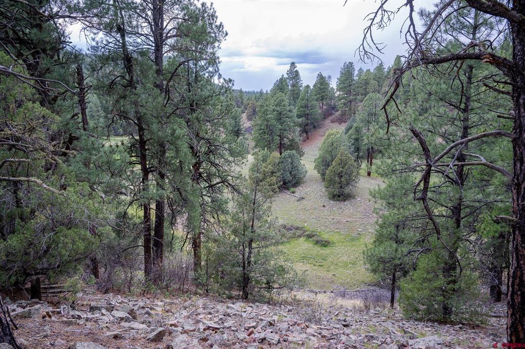 2615 Echo Canyon Ranch Lane Pagosa Springs CO 81147